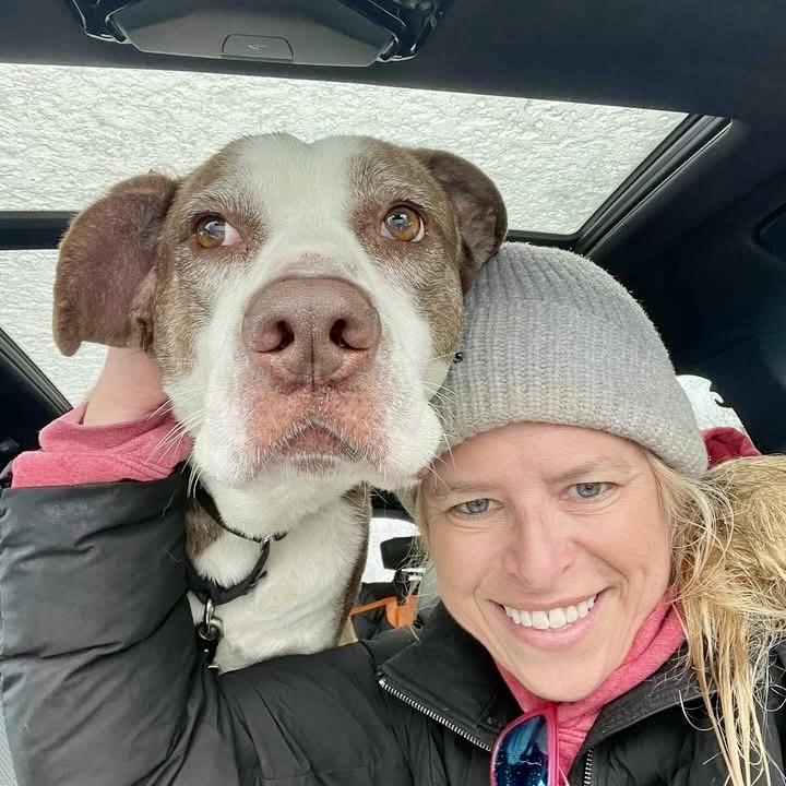 Enlarge Kirby, a Adoptable mixed breed in Deerfield, IL image 5/6