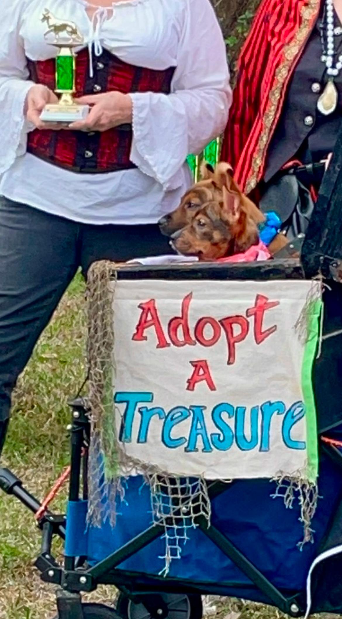Enlarge Poppy, a Adopted mixed breed in Mobile, AL image 5/6