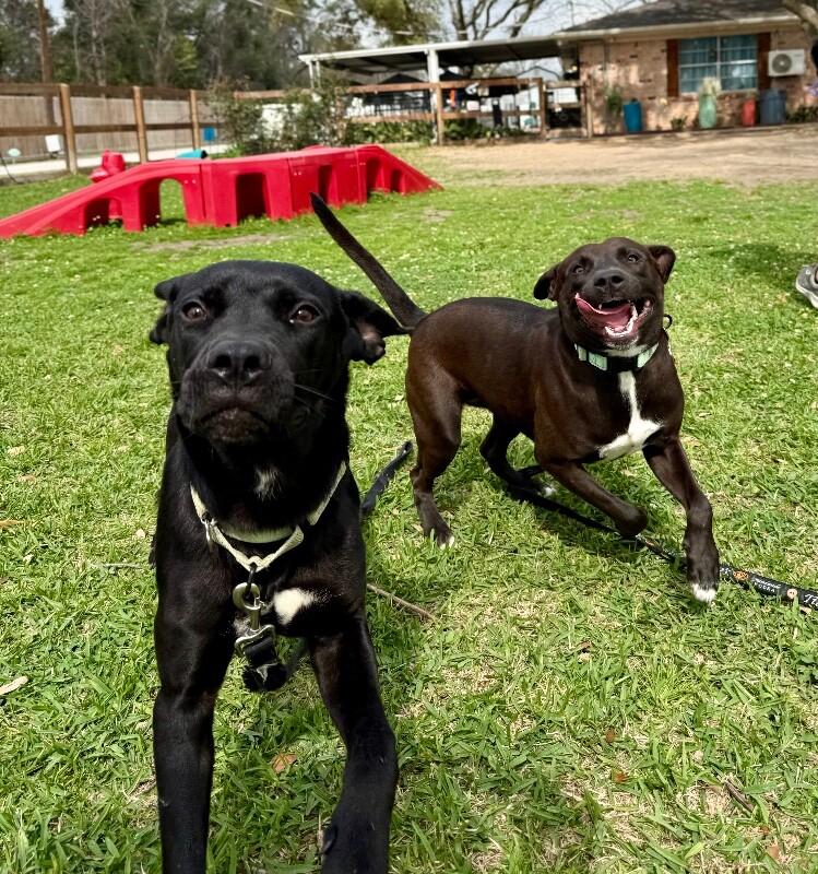 Leilani Snuggles the Professional Cuddle Bug — thumbnail 3