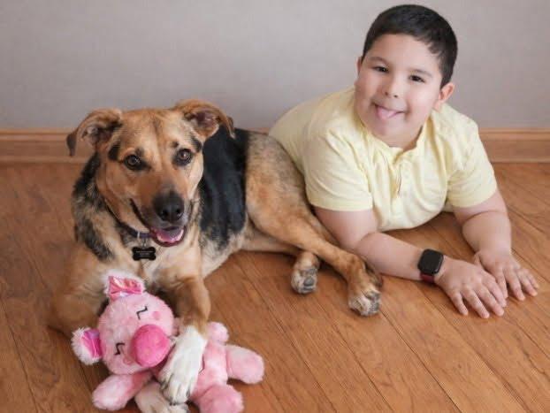 Leilani, a Adoptable mixed breed in Oswego, IL image 3/6