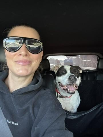 Rambo, a ADOPTABLE mixed breed in West Hollywood, CA image 3/3