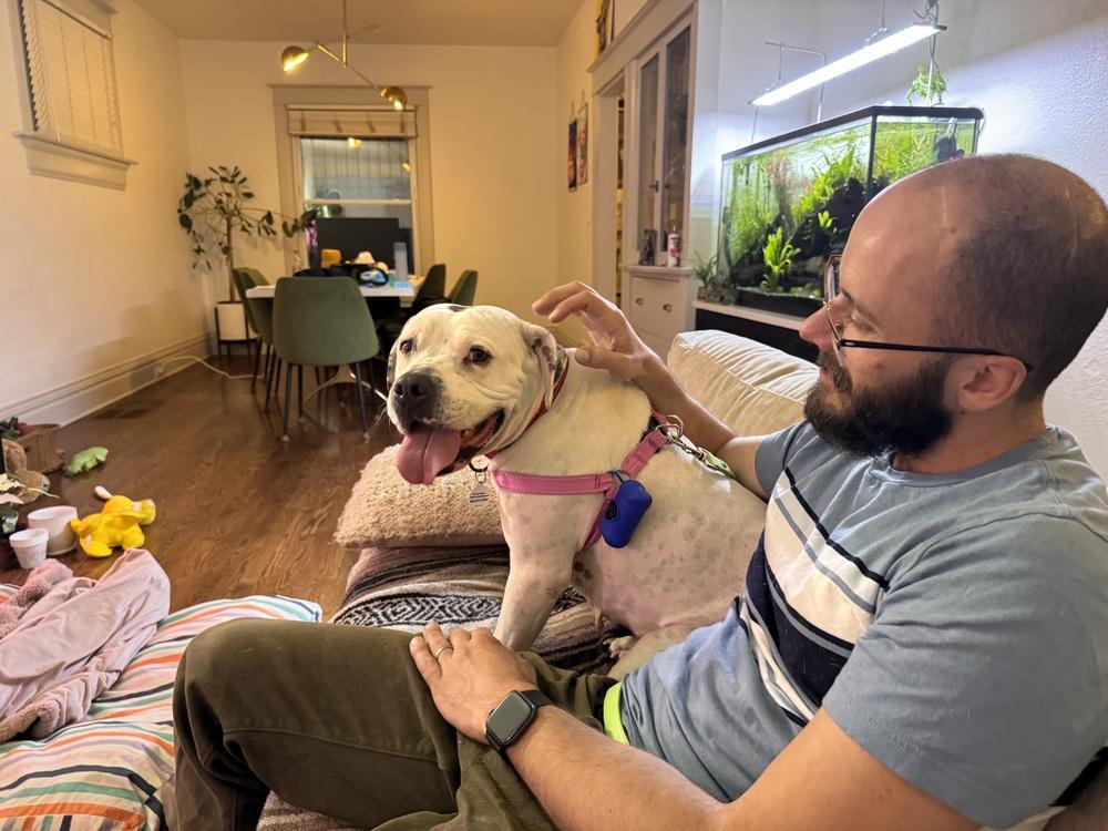 Mayflower, a Adoptable mixed breed in Denver, CO image 5/6
