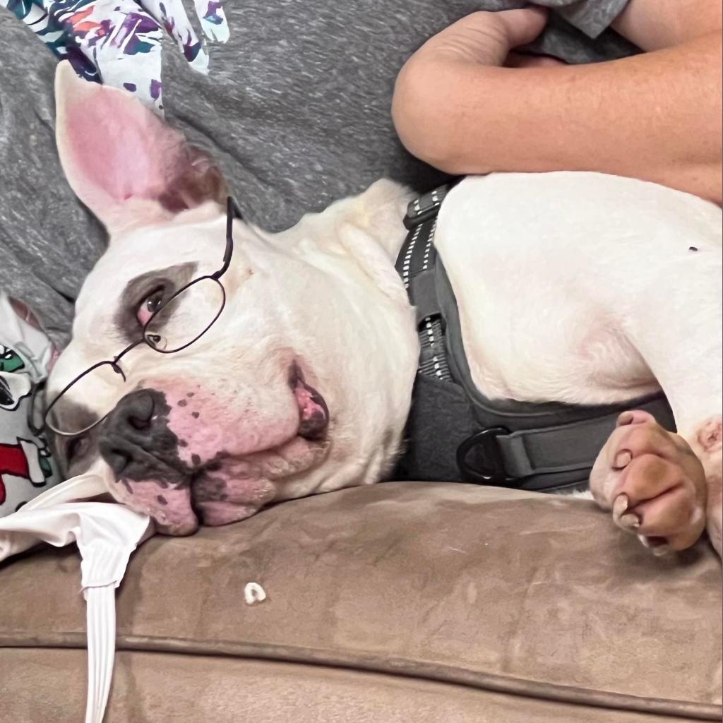 Gracie Lou thumbnail 2