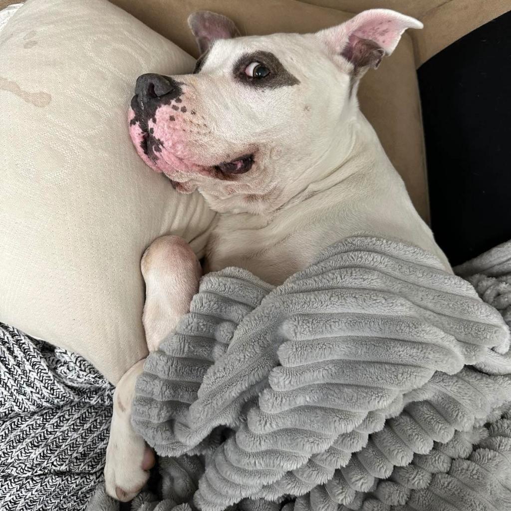 Gracie Lou thumbnail 4