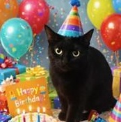 Magic (bonded w/ sister Minnie ), Adoptable, Young Male Domestic Short Hair.