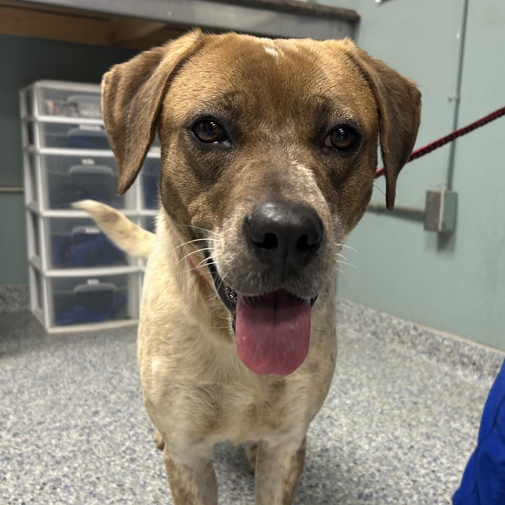 Jelly Belly thumbnail 2