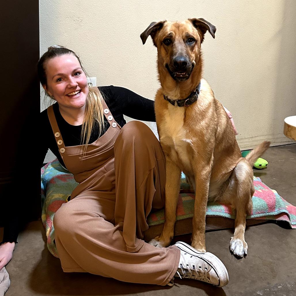 Major (Chip) - Loves People & Dogs! Adopt $50!, a Adoptable mixed breed in Flagstaff, AZ image 5/6