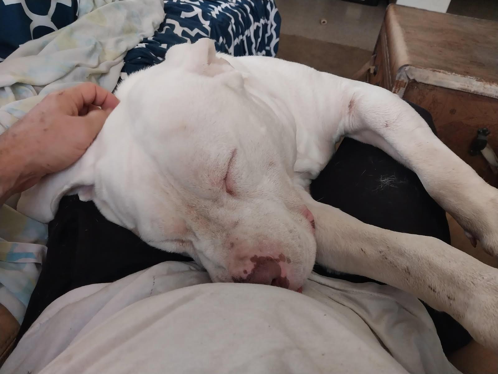 z (Courtesy Listing) Harry