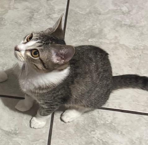 Minu #bonded--to-Kimchi