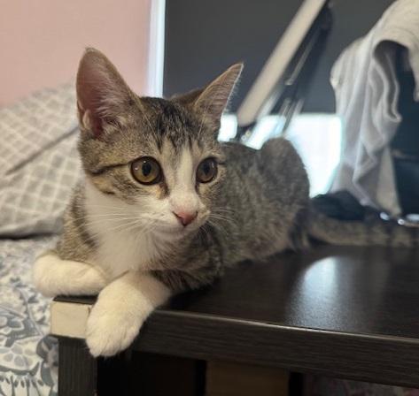 Minu #bonded--to-Kimchi