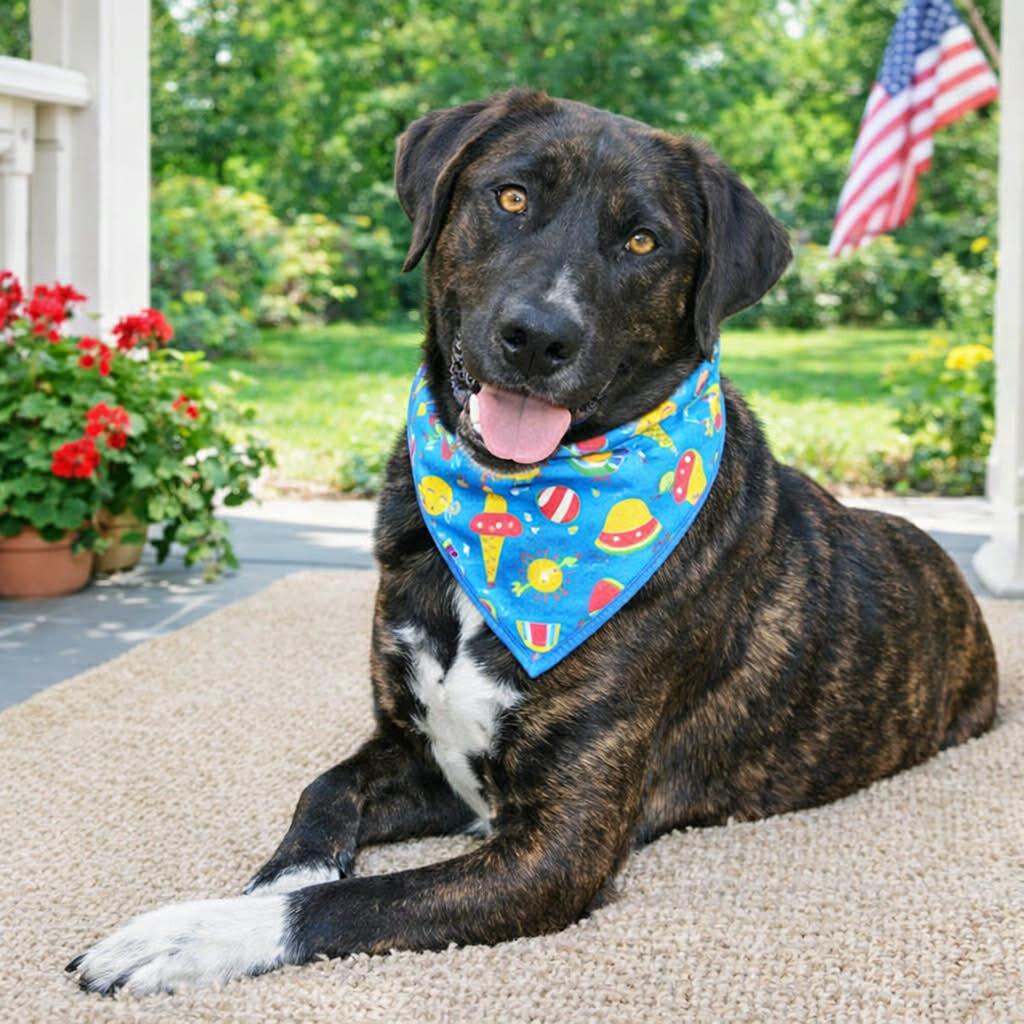 Herbie — thumbnail 4