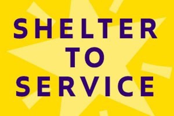 Peanut, Adoptable, Adult Male Manchester Terrier.