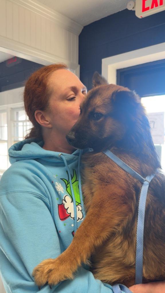 CINNAMON - STRAY HOLD UNTIL 12/26/25, a Adoptable mixed breed in Athens, AL image 3/3