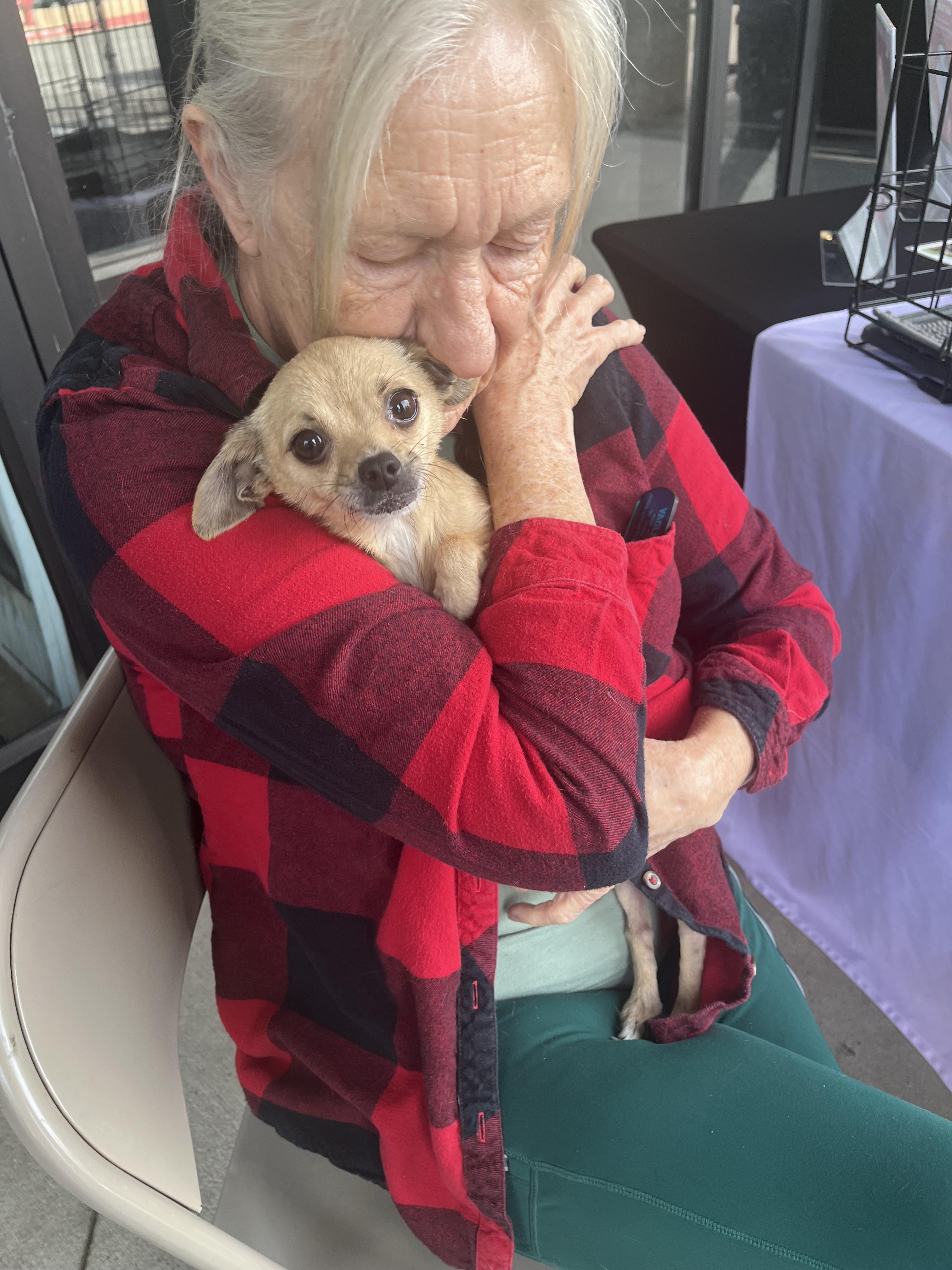 Richard Theodore Cheese, a Adoptable Chihuahua in Austin, TX image 5/6