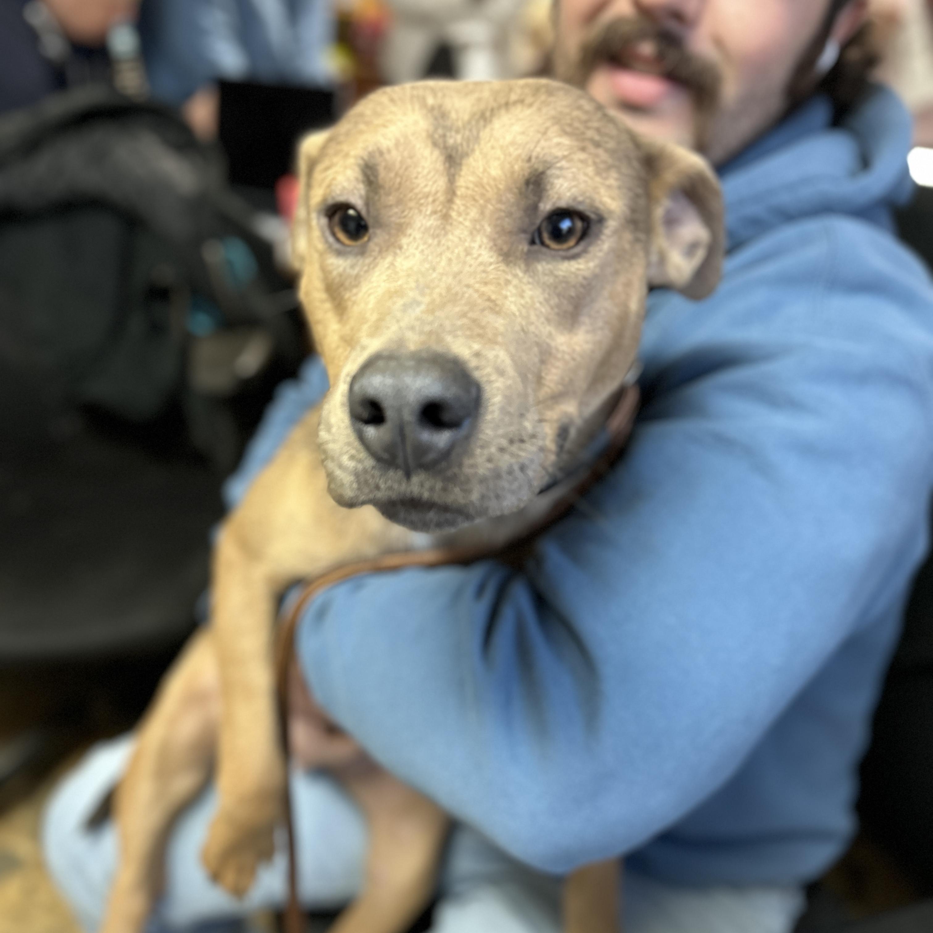 Strawberry — thumbnail 2