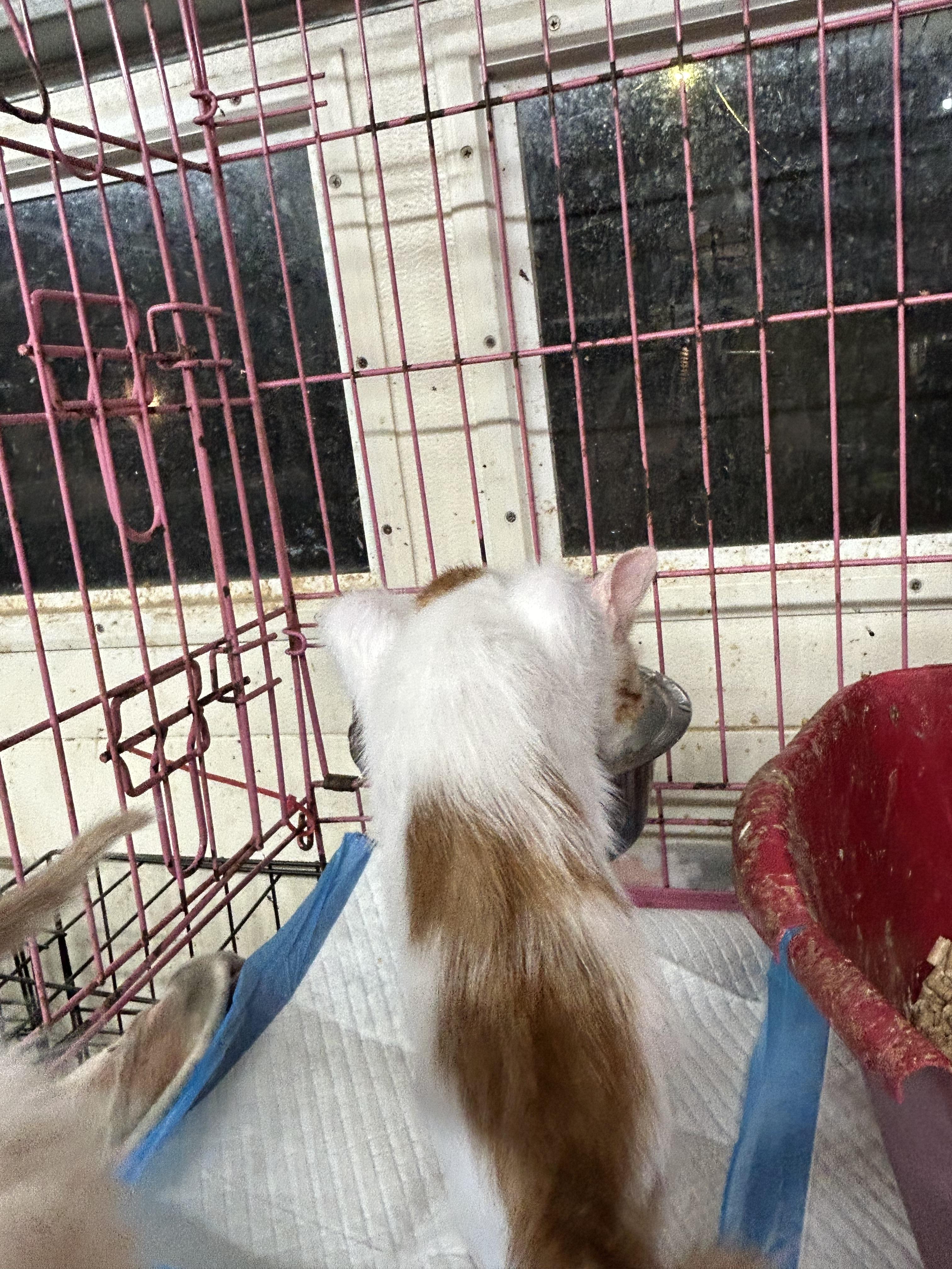 Terence photo 3