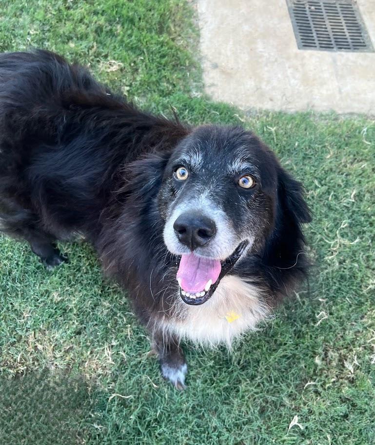 Maverick* A212623