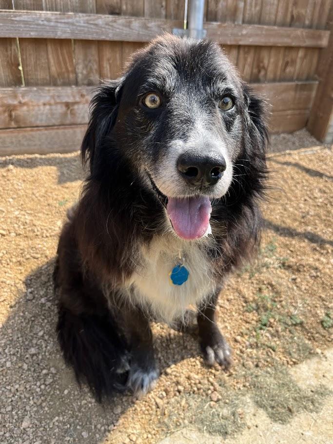 Maverick* A212623