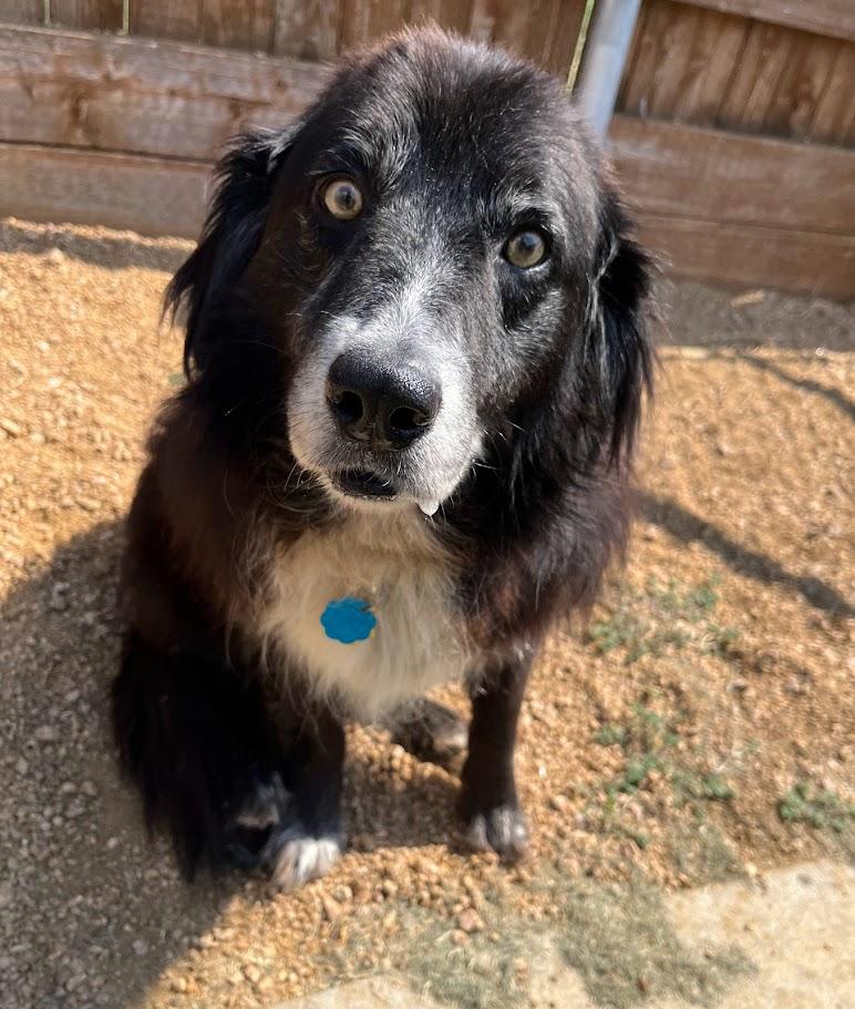 Maverick* A212623