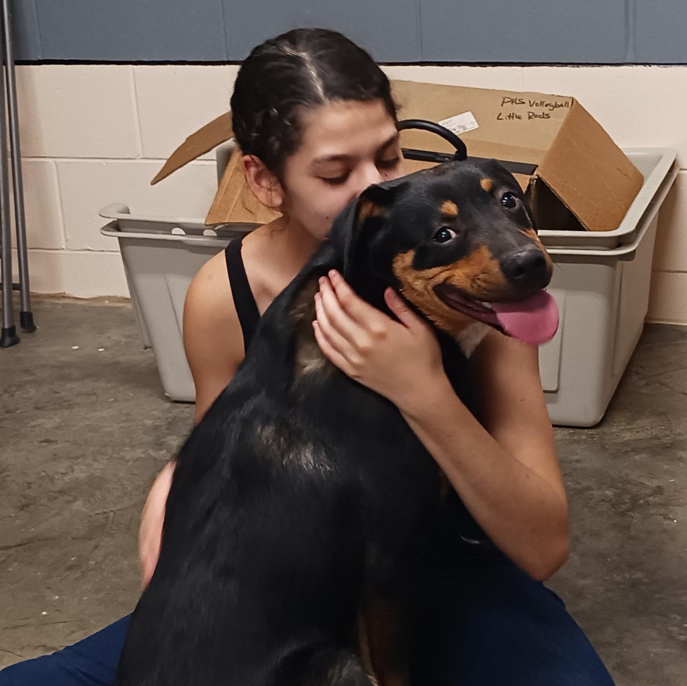 Boppity, a Adoptable Hound in Saint Marys, WV image 6/6