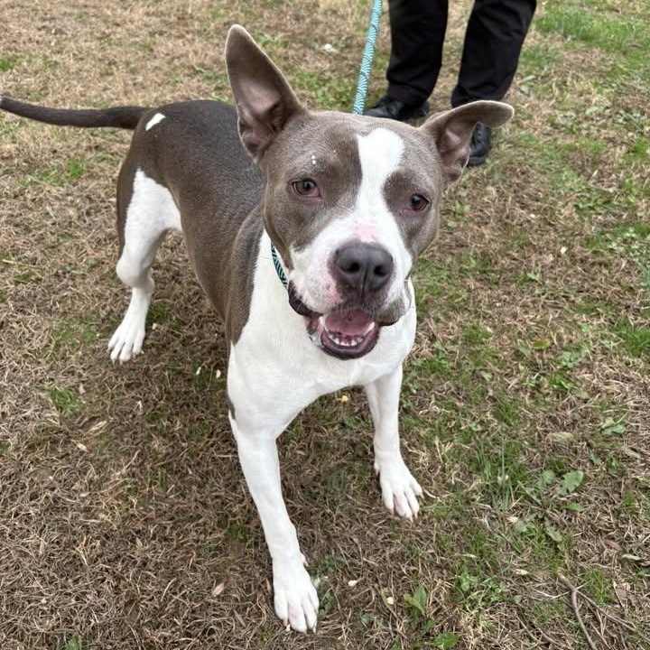 Apricity (20260126-02) — thumbnail 2