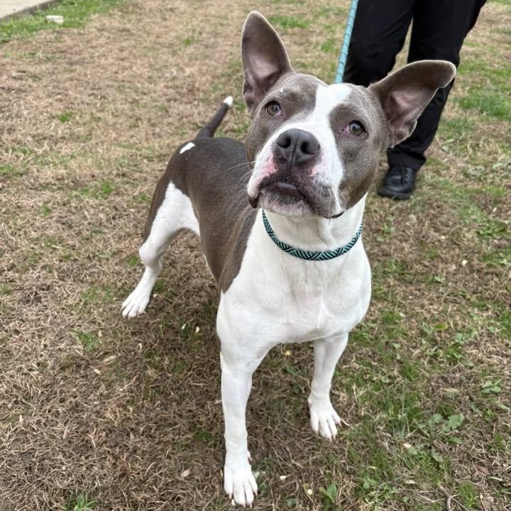 Apricity (20260126-02) — thumbnail 5