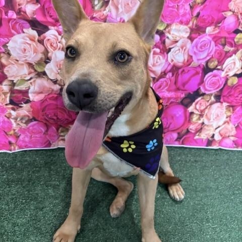 Sasha — thumbnail 3