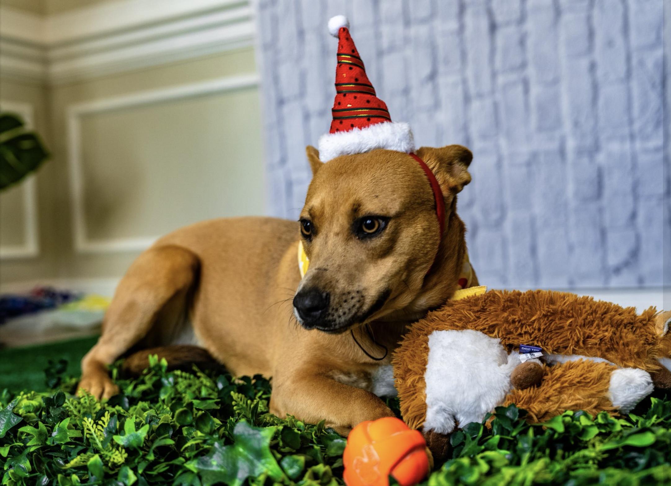 Sasha — thumbnail 4