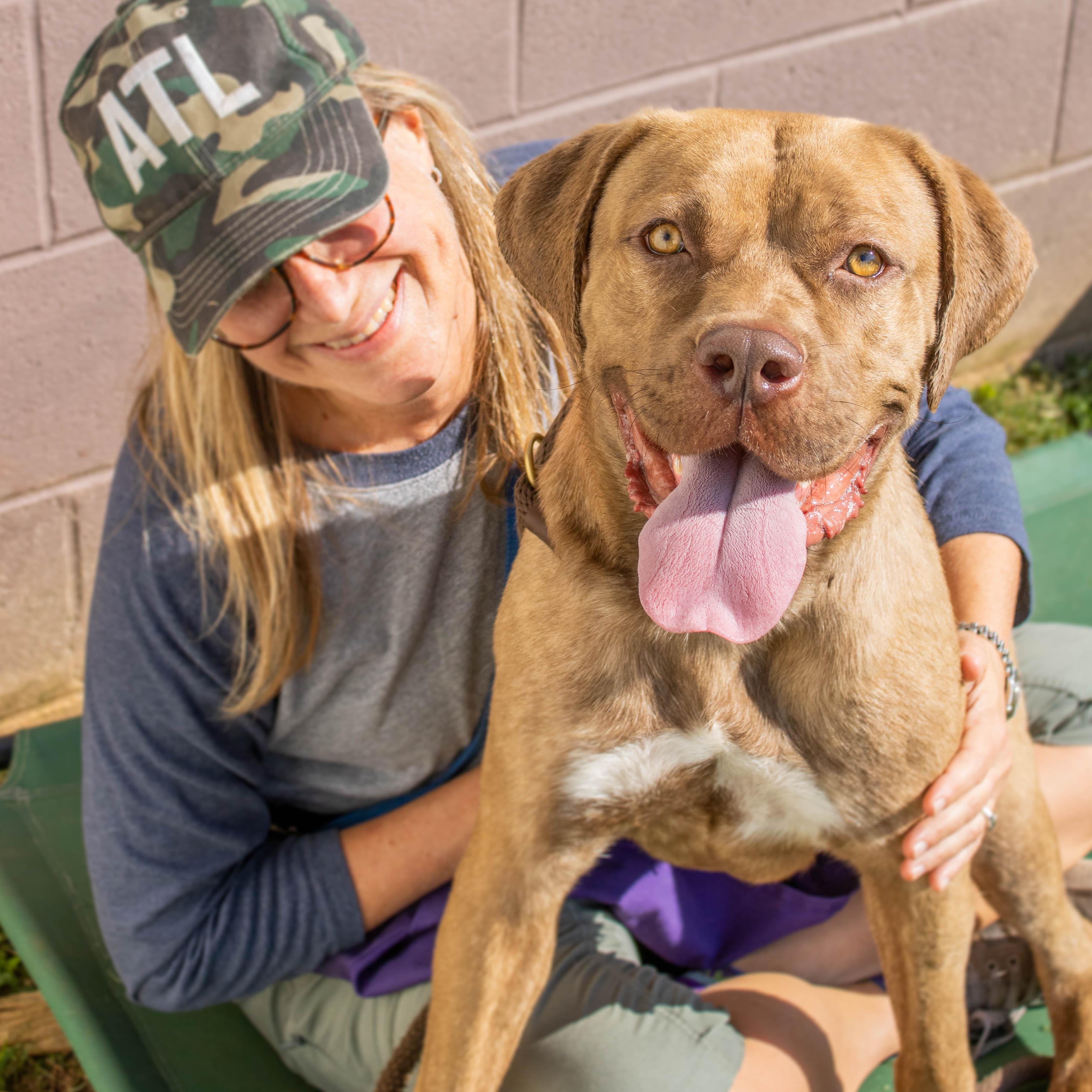 Gwinny- IN FOSTER, Adoptable, Adult Female Mixed Breed & Mixed Breed.