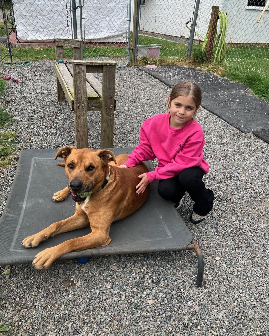 Benny, a ADOPTABLE Mixed Breed in Crescent city, CA image 4/6