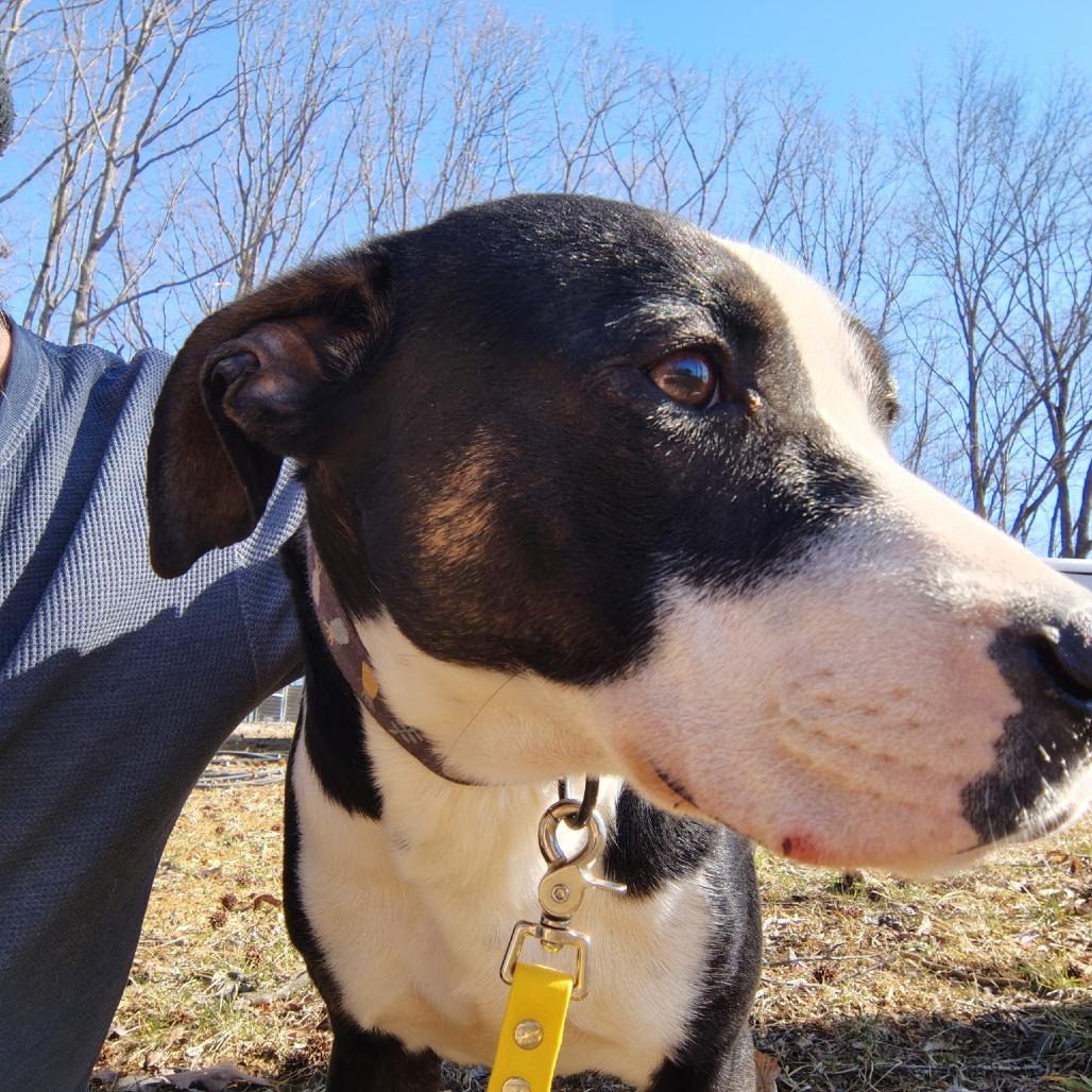 Penelope — thumbnail 2