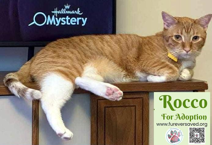 Rocco