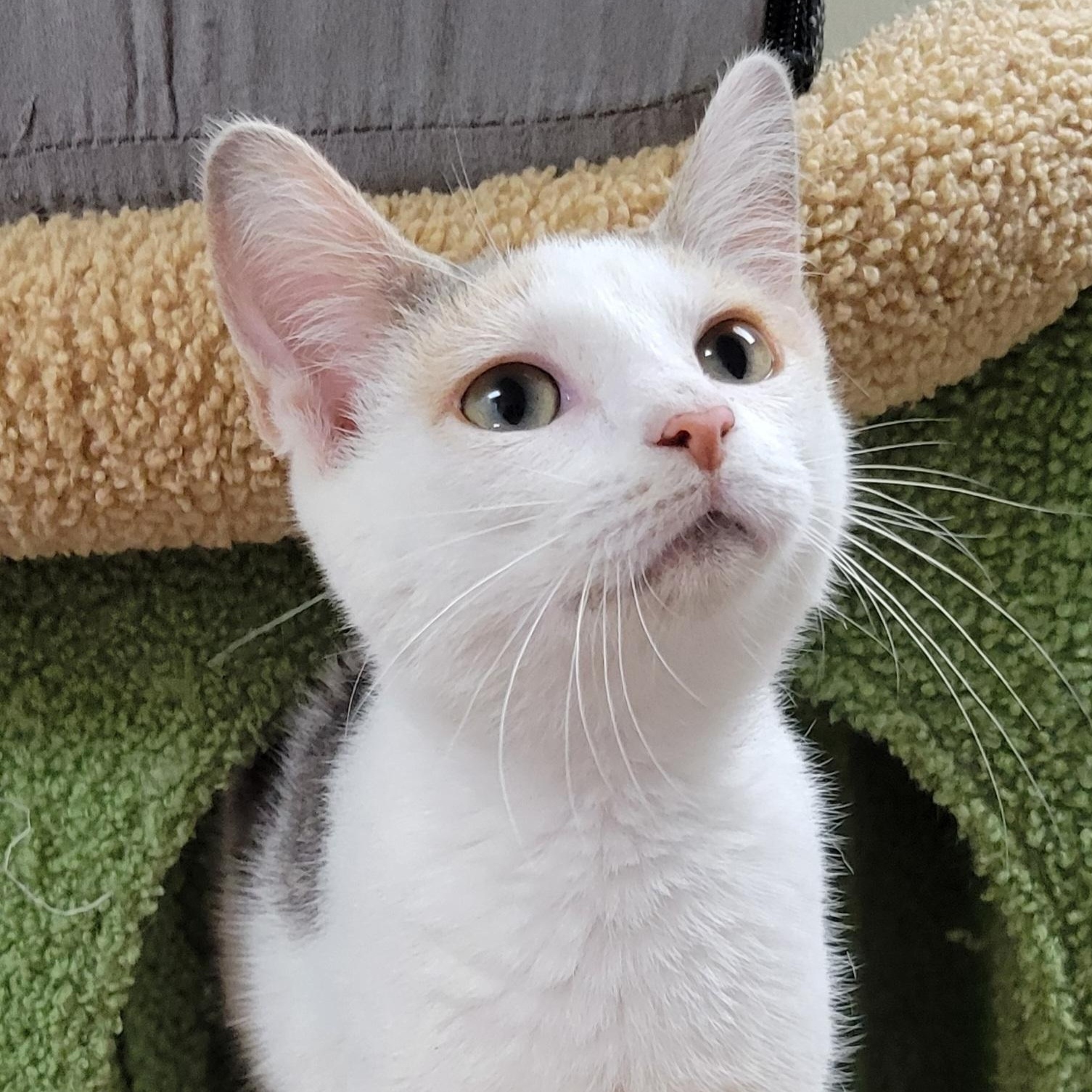 Avery