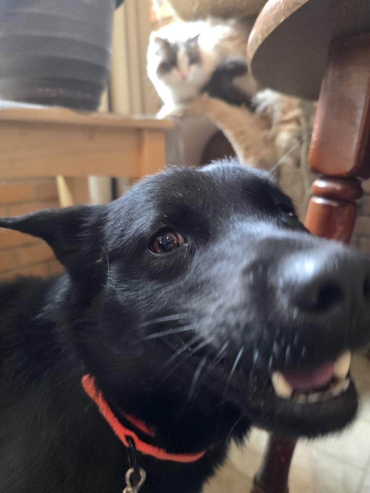 Midnight thumbnail 3