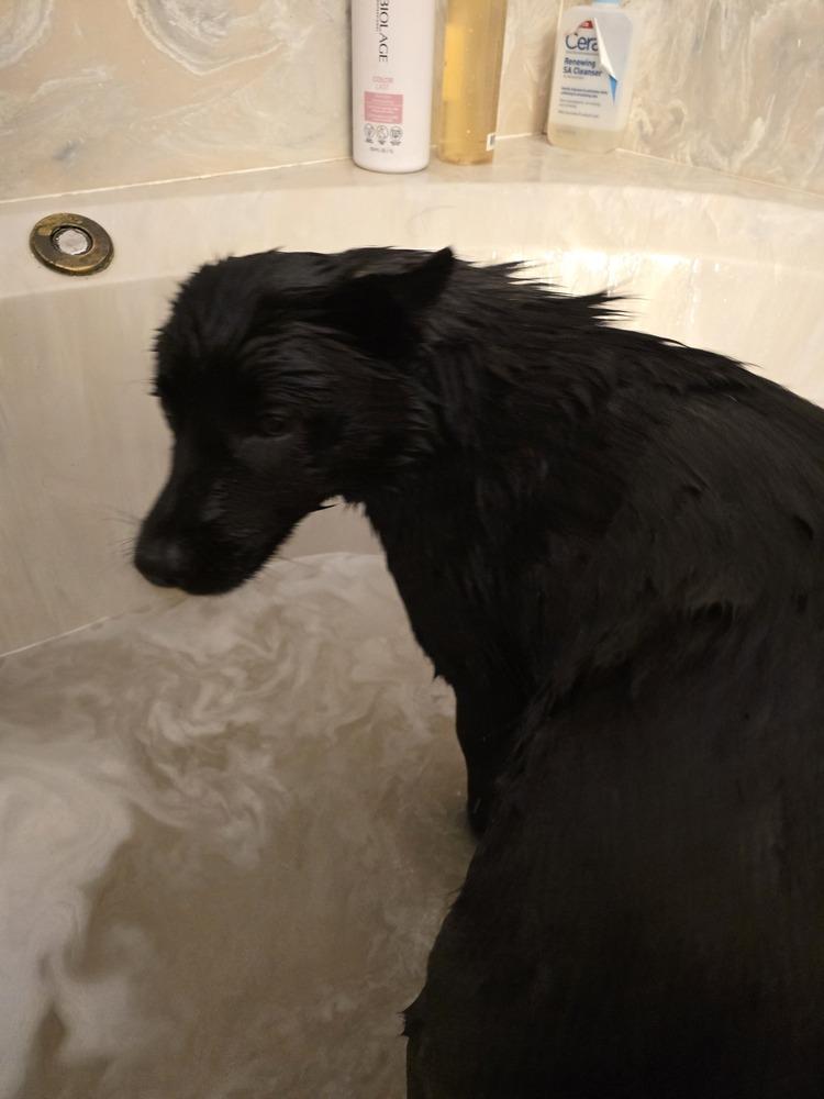 Midnight thumbnail 5