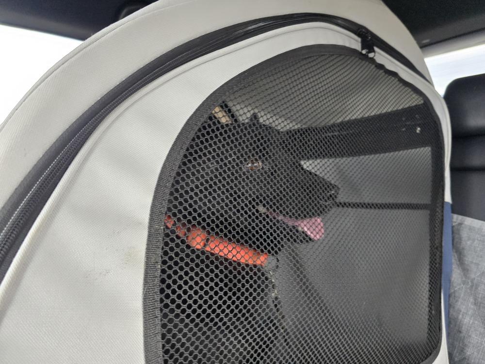 Midnight thumbnail 6