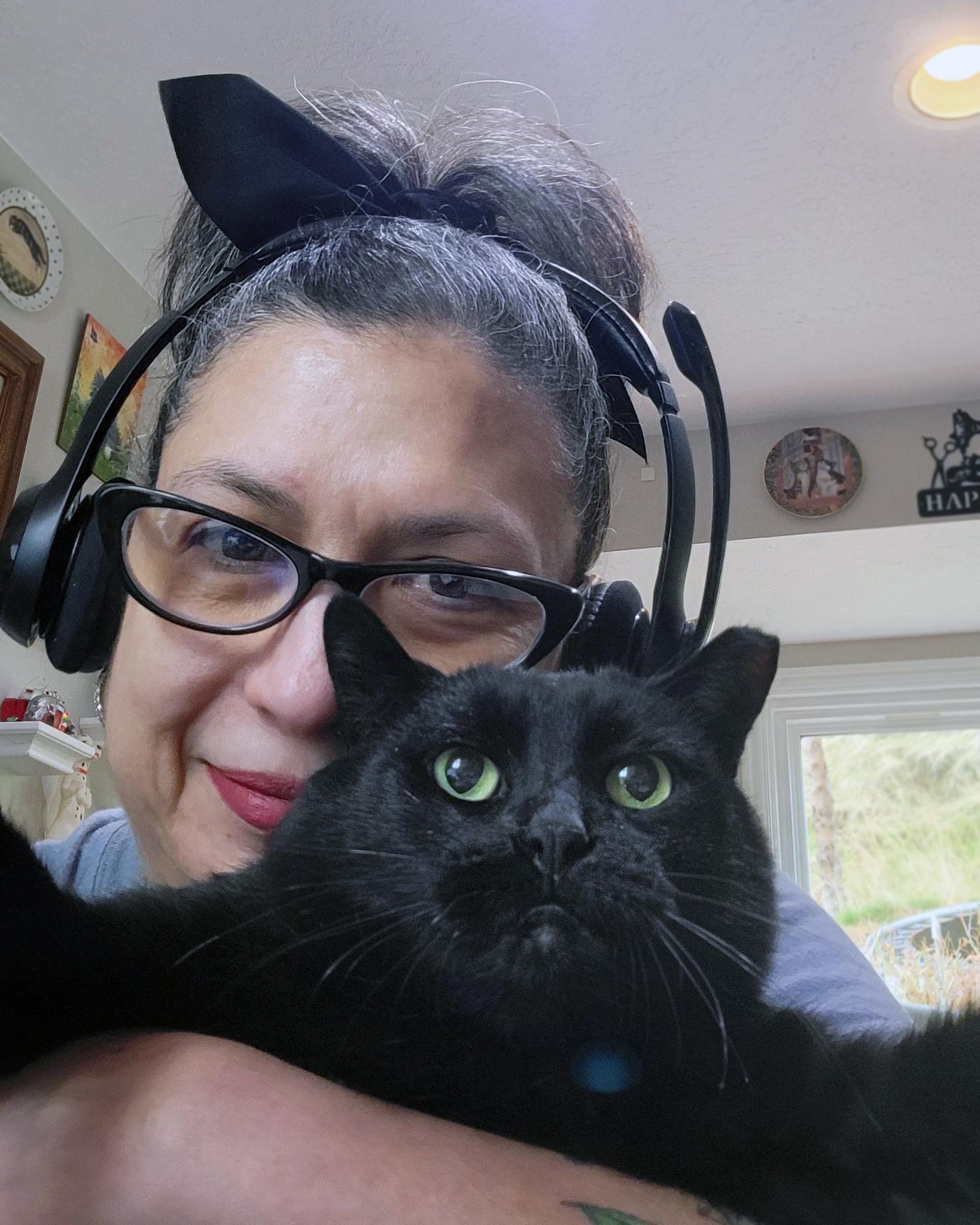 Enlarge Jabba, a ADOPTABLE Domestic Short Hair in Centerville, UT image 2/2