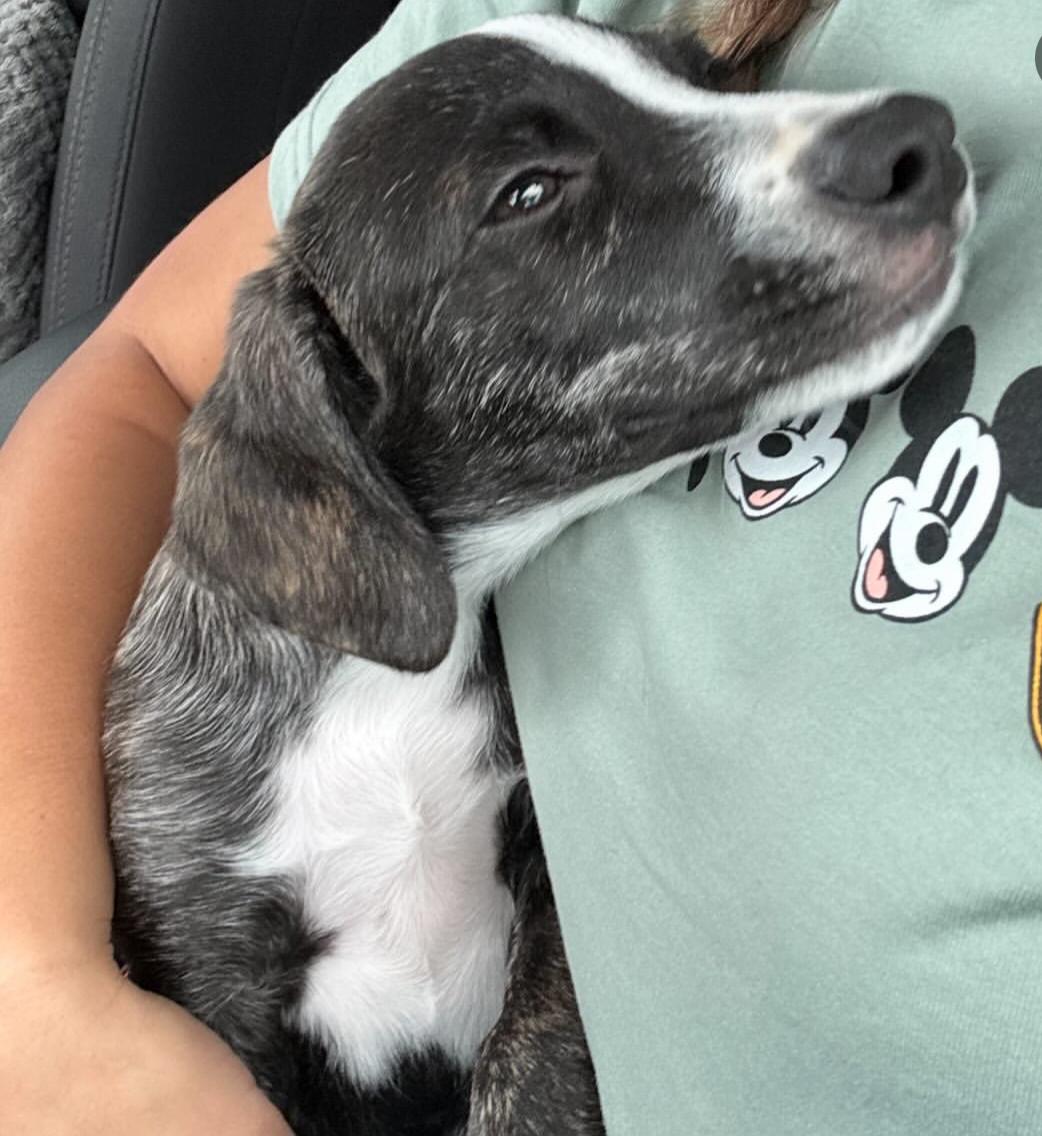 Baby Robbie thumbnail 4