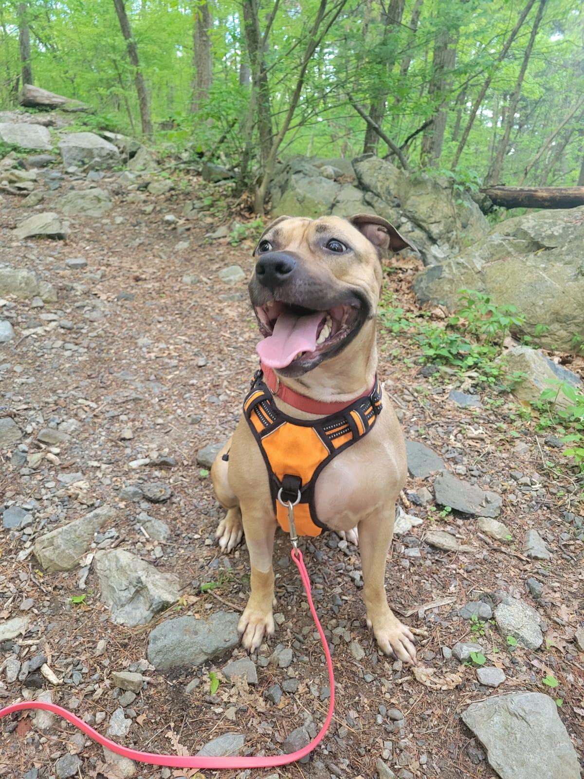 Lady Bug thumbnail 3