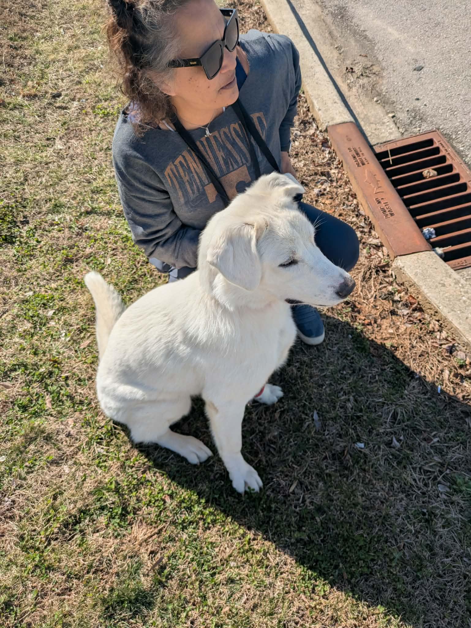 Avalanche, a Adoptable mixed breed in Hilham, TN image 3/6