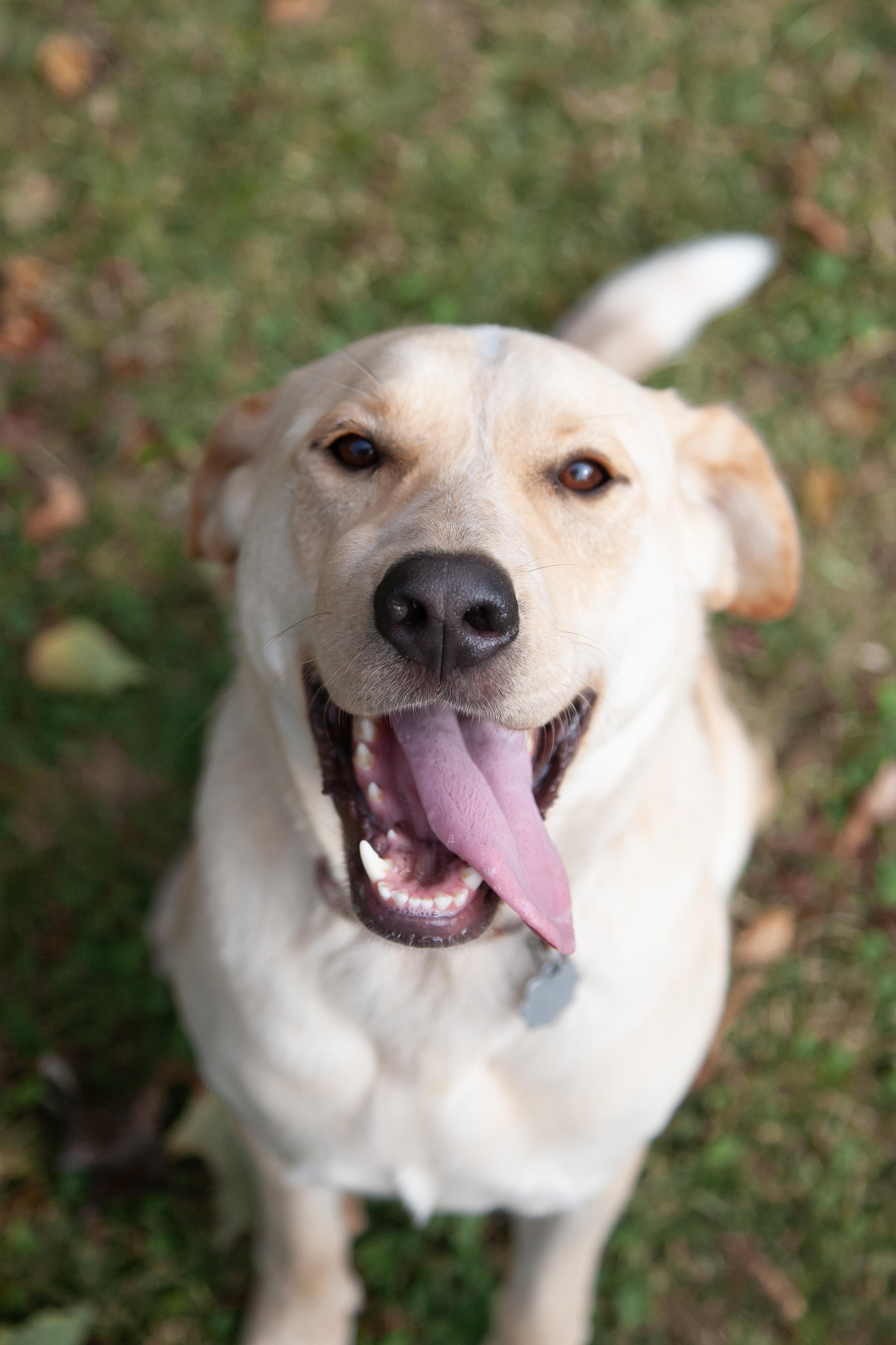 Rosemary (fka Phoebe)