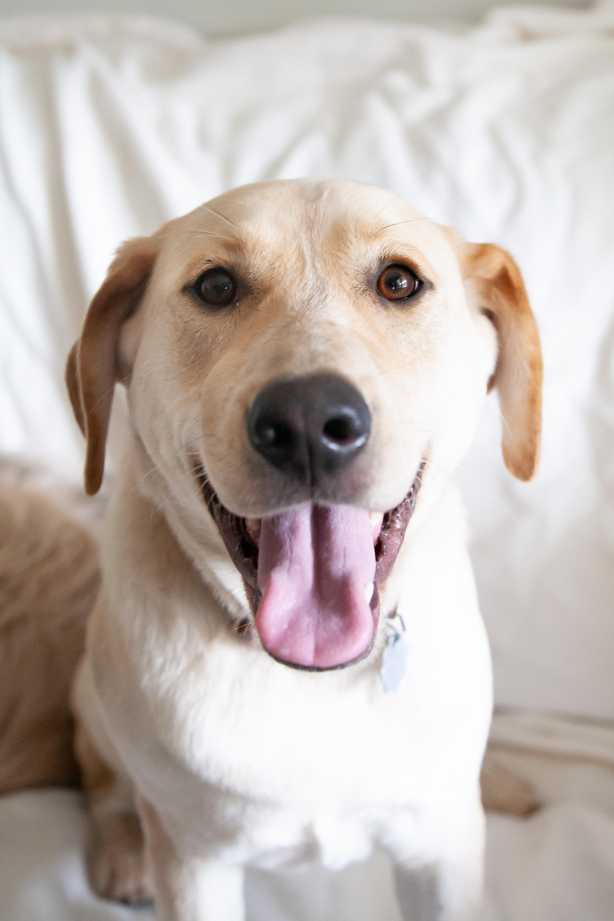 Rosemary (fka Phoebe)