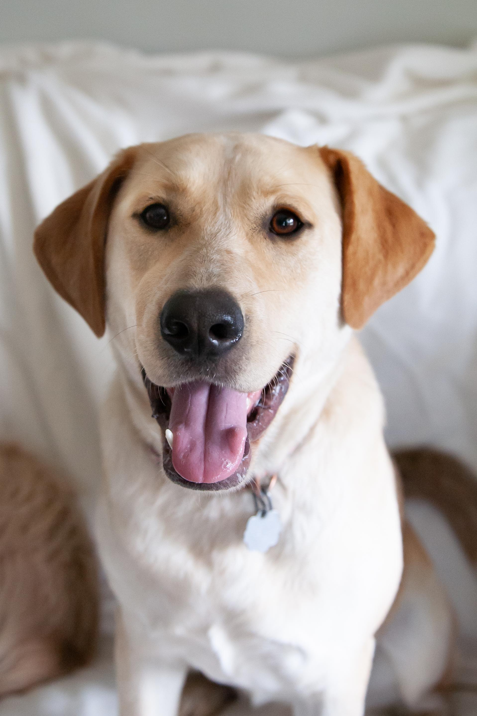 Rosemary (fka Phoebe)