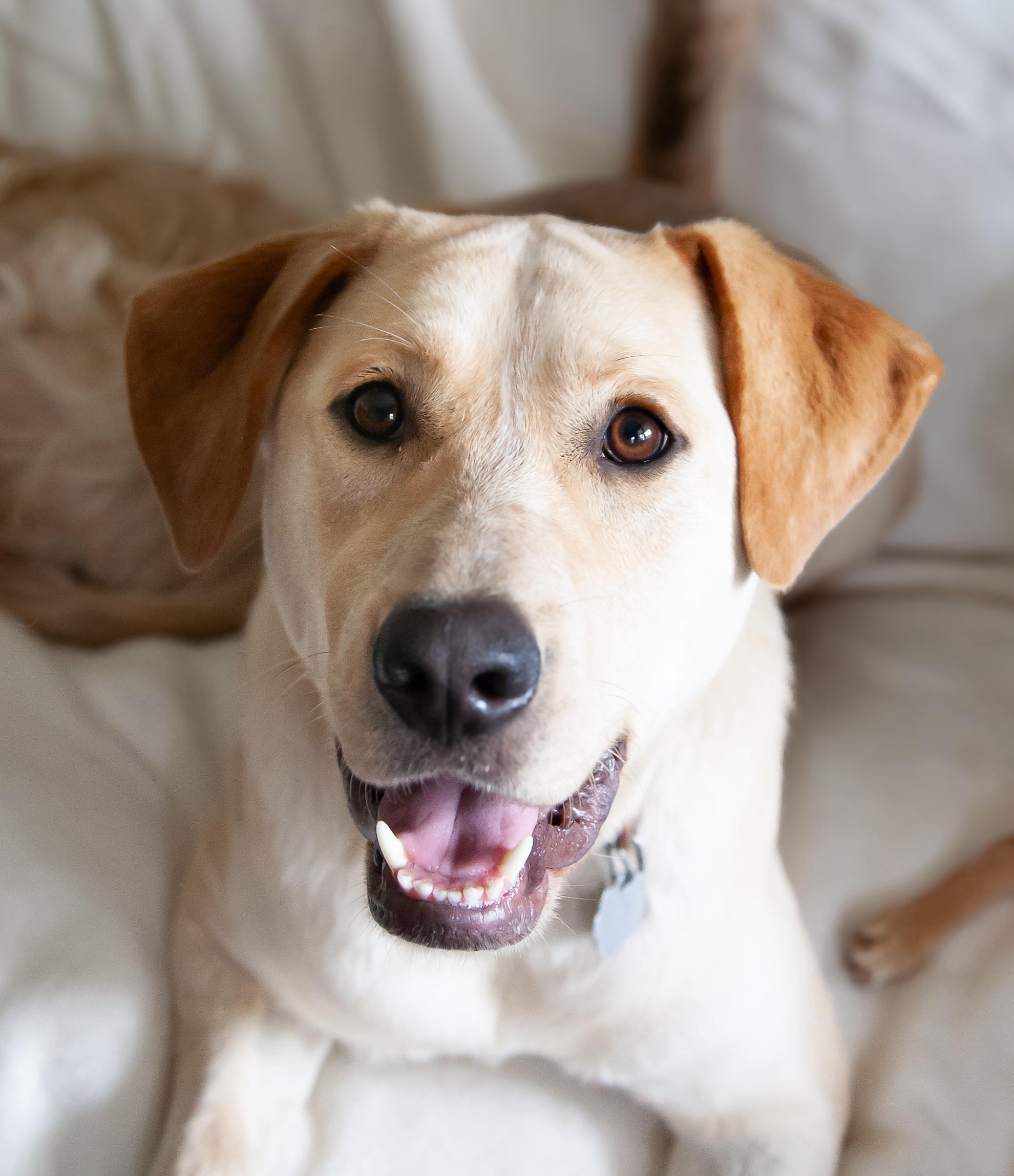 Rosemary (fka Phoebe)