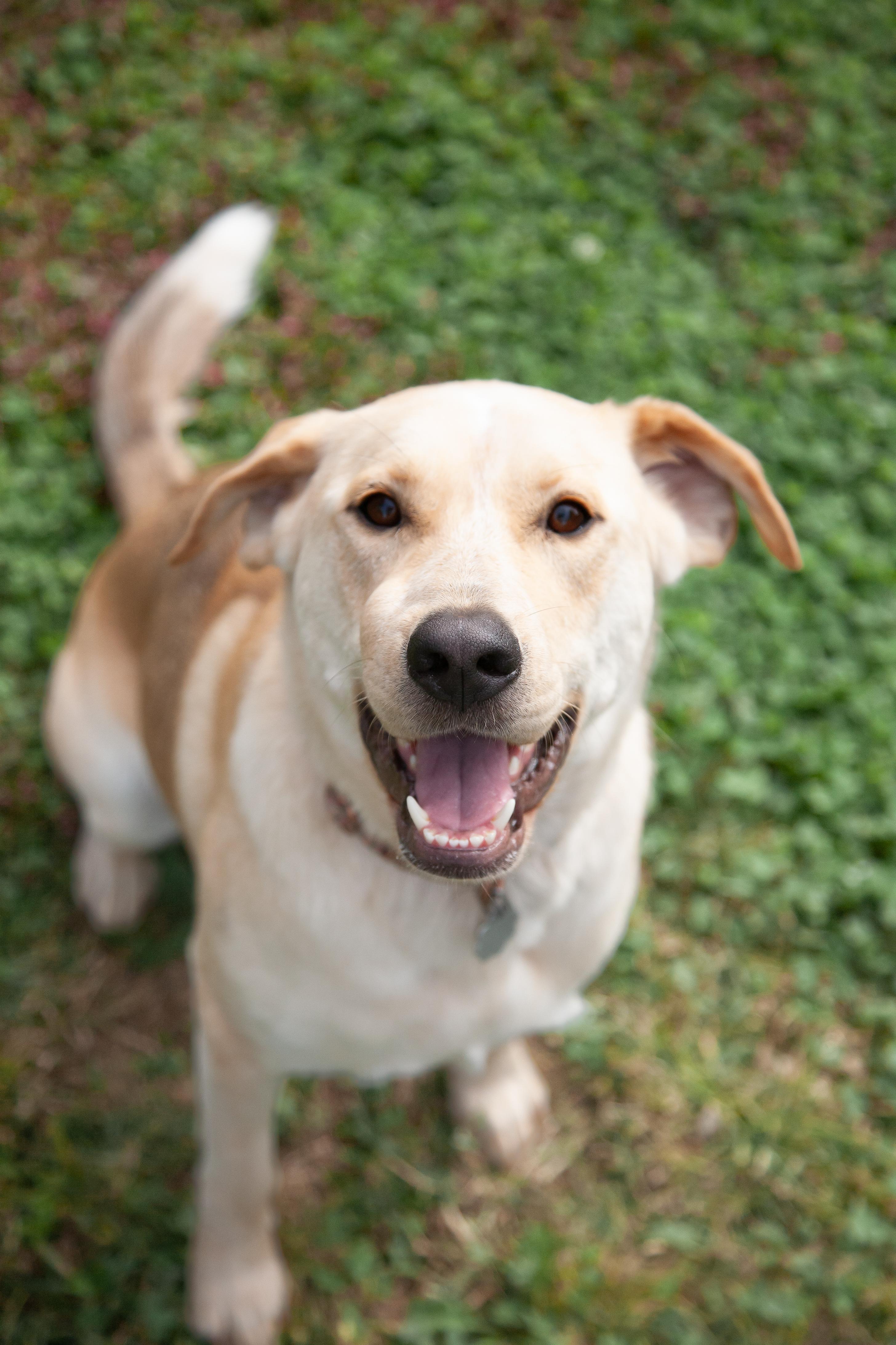 Rosemary (fka Phoebe)