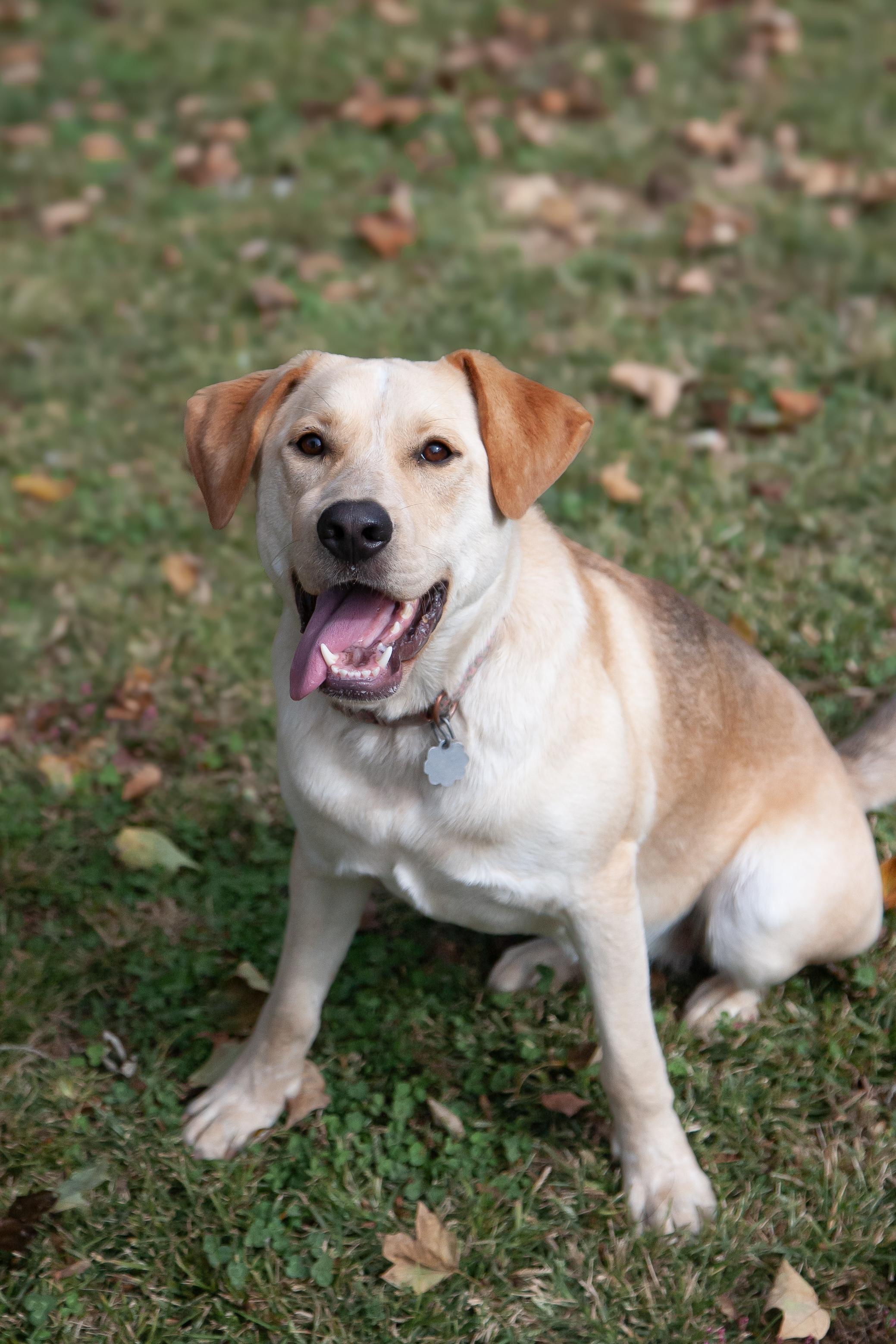 Rosemary (fka Phoebe)