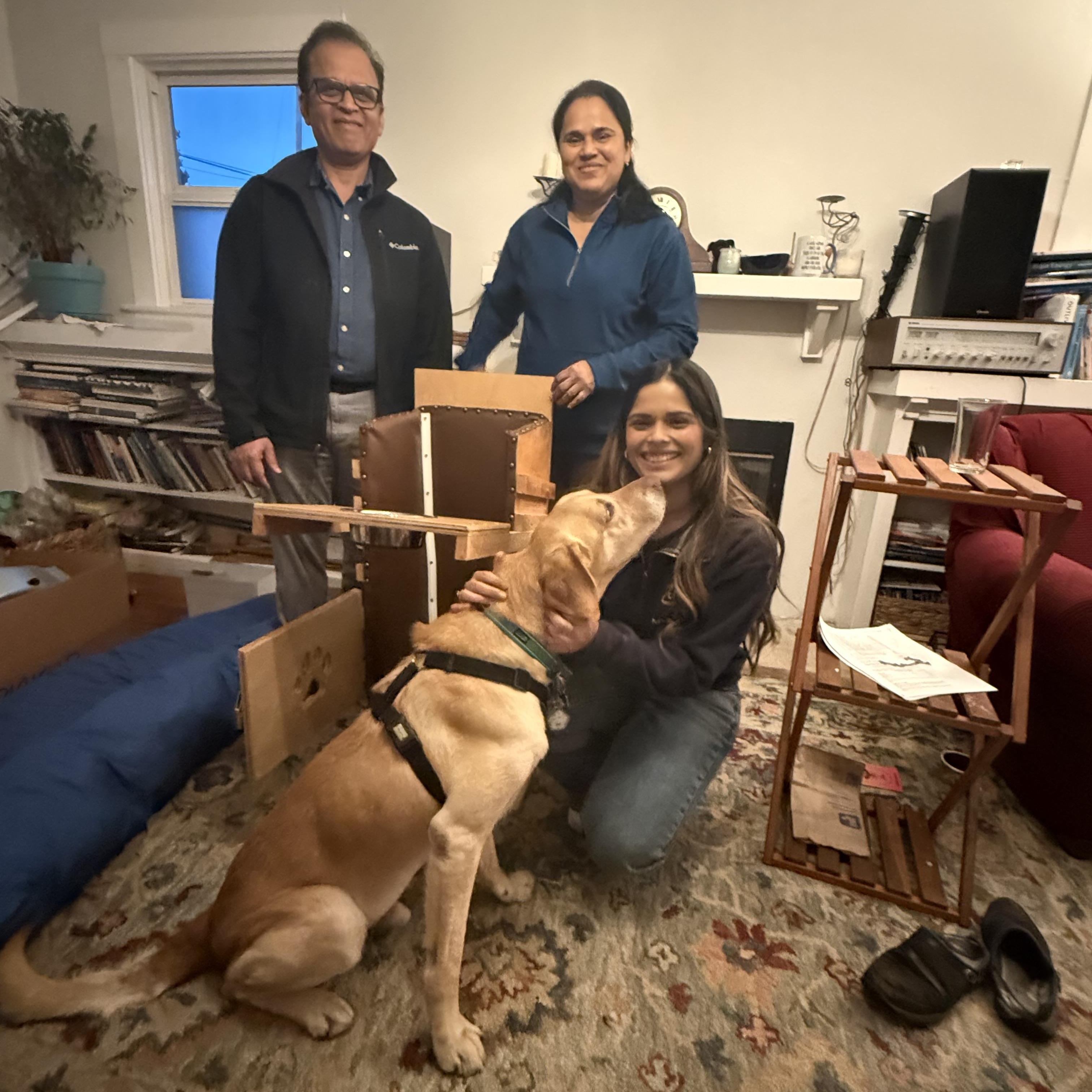 Enlarge Teddy, a ADOPTABLE mixed breed in San Francisco, CA image 2/4