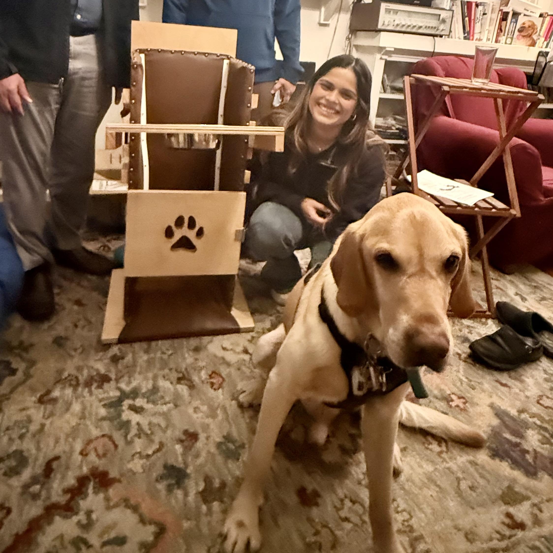 Enlarge Teddy, a ADOPTABLE mixed breed in San Francisco, CA image 3/4