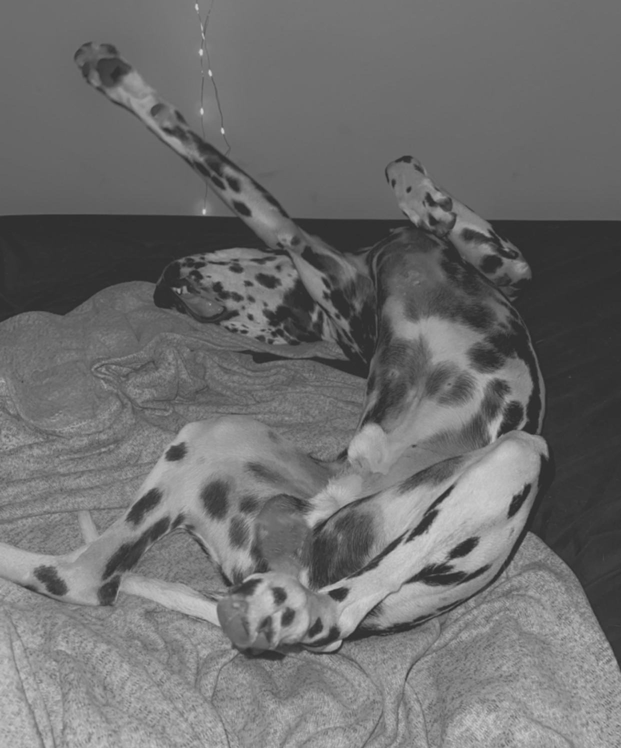 Ollieelkhart  In thumbnail 3