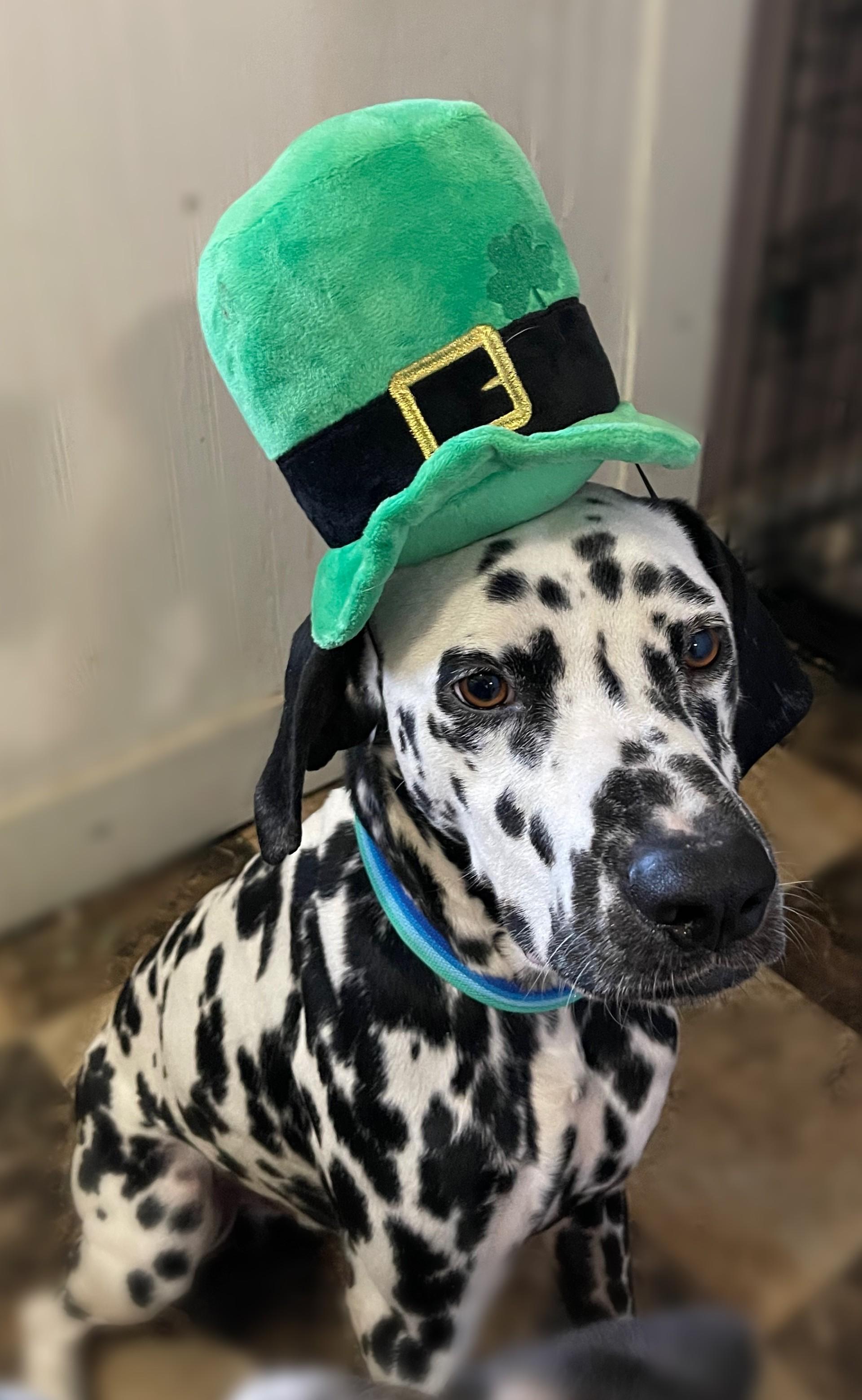 Ollieelkhart  In thumbnail 4